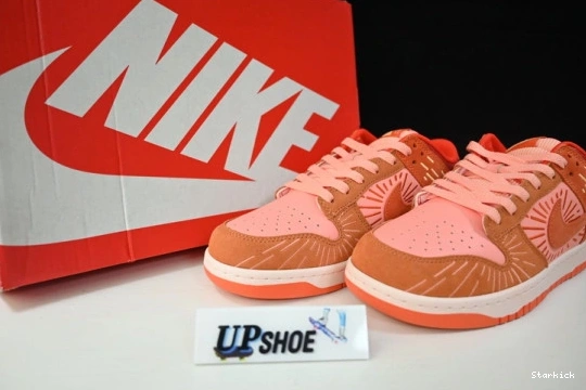 (W) Winter Nike DO6723-800 Solstice Dunk Low NH 0111